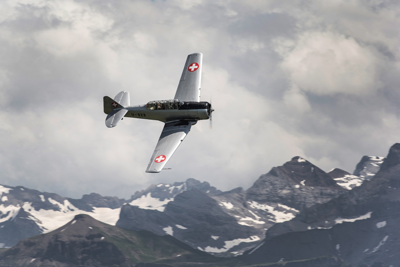 AT16-T6-Harvard (© Daniel Reinhard)